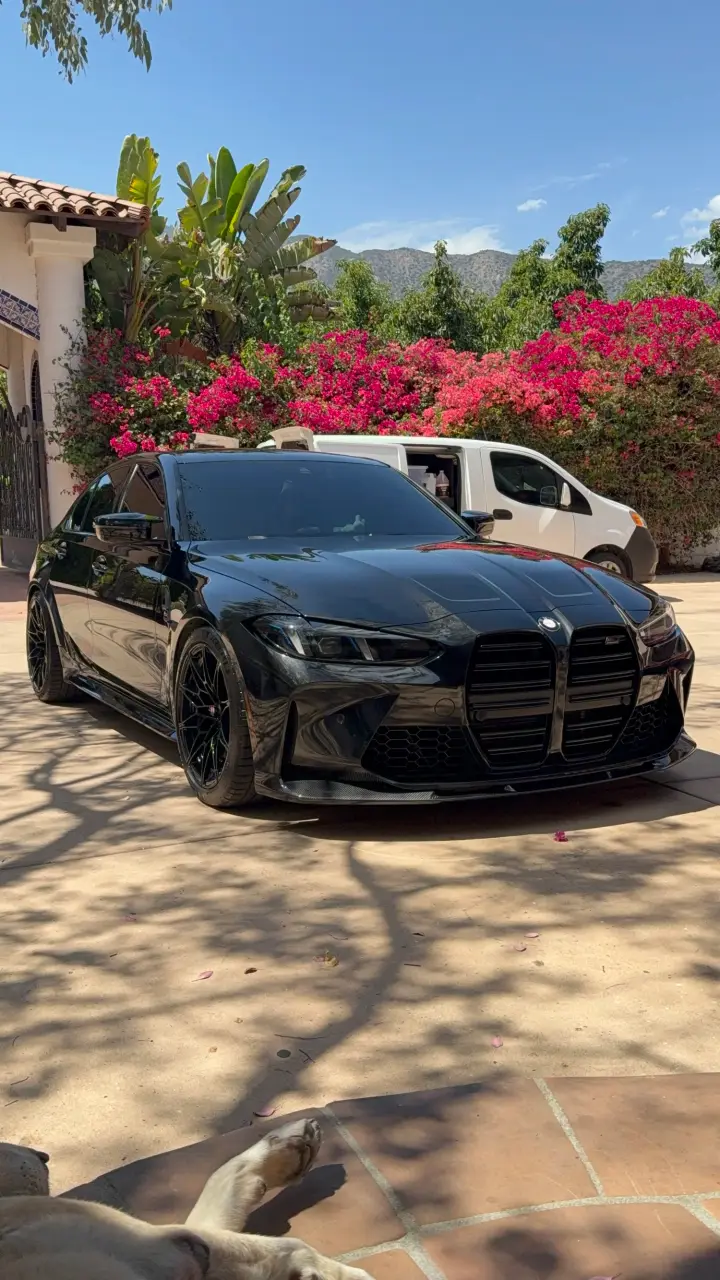 Black BMW M3 parked under bougainvillea after detailing